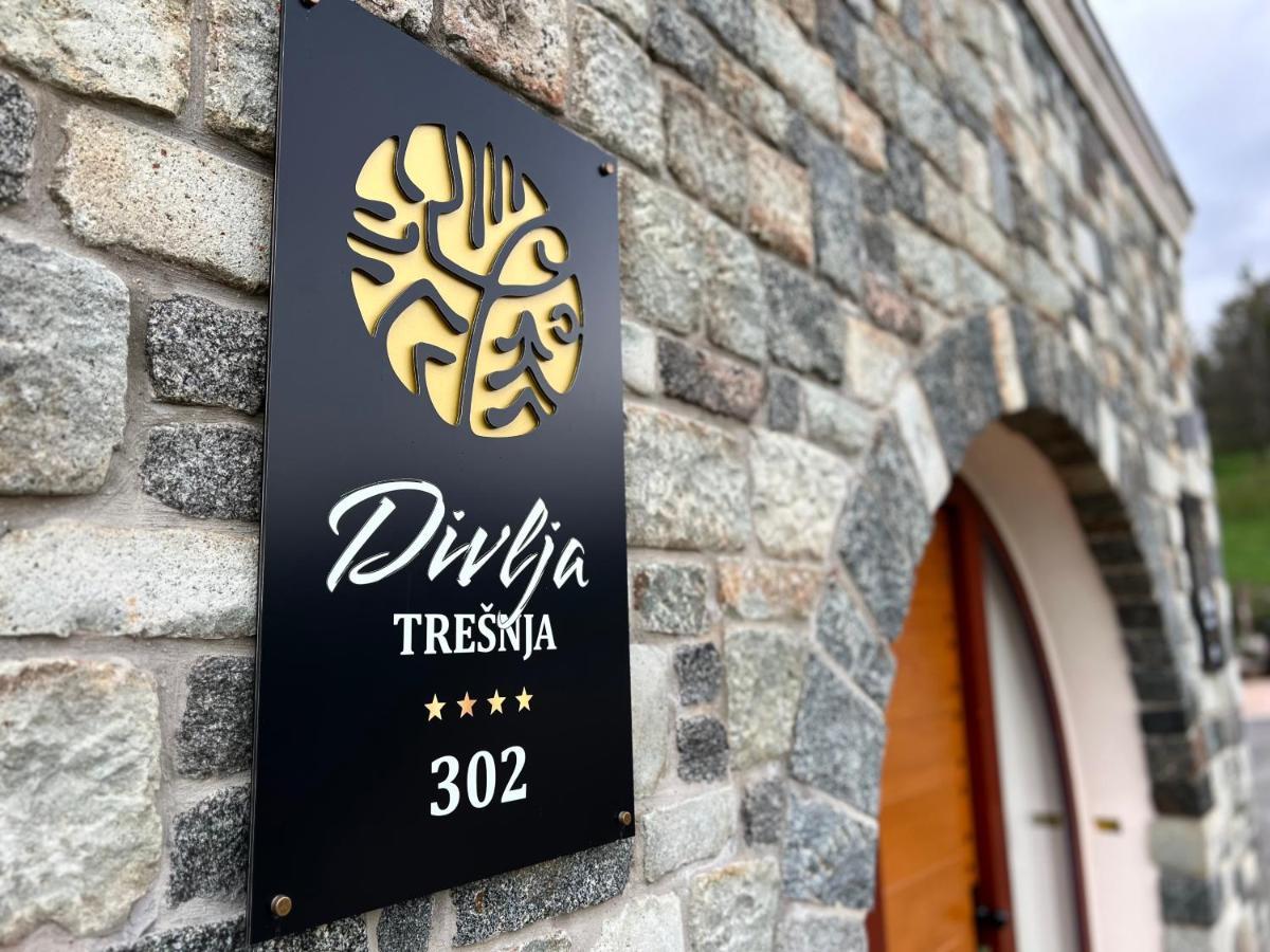 Toplik Village Resort Lukavica Esterno foto